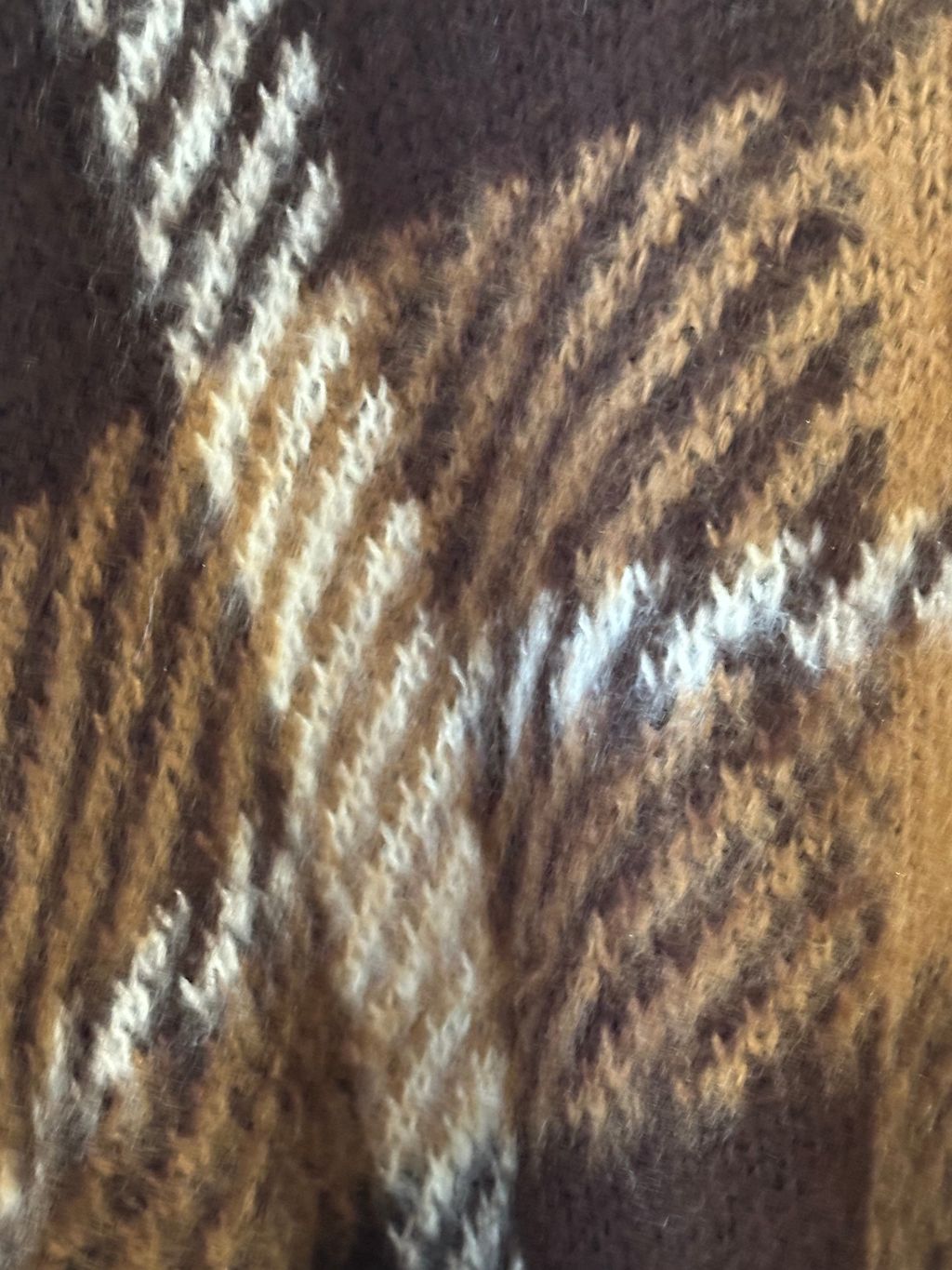 image_610D9661-9373-4111-BD8A-24CC0E89172B_1767336148