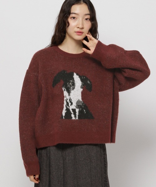 image_F88BBE69-AF33-4434-855D-FC5B2E856352_1767850596