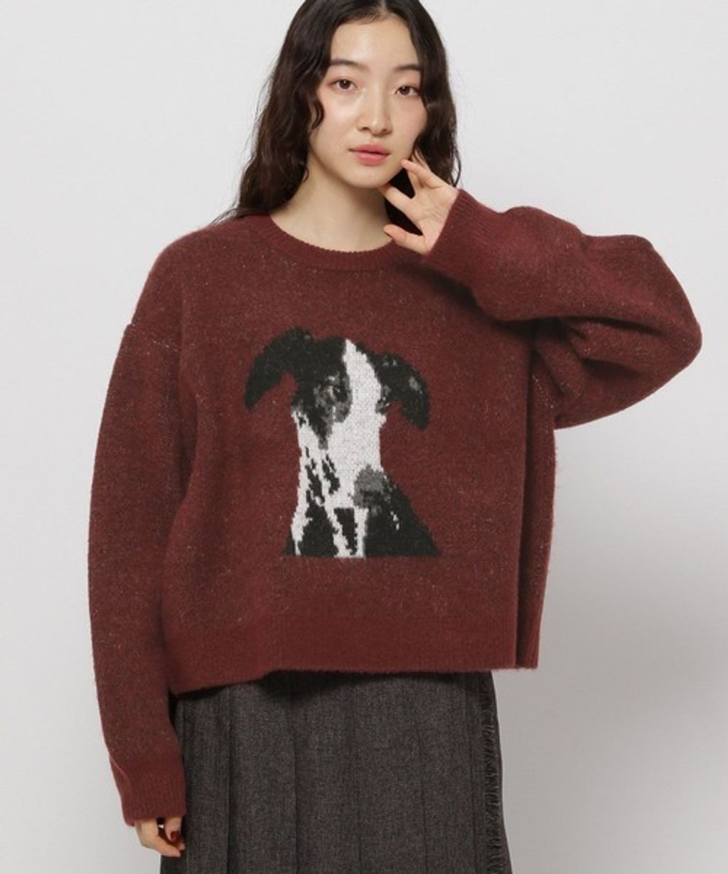 image_F88BBE69-AF33-4434-855D-FC5B2E856352_1767850596