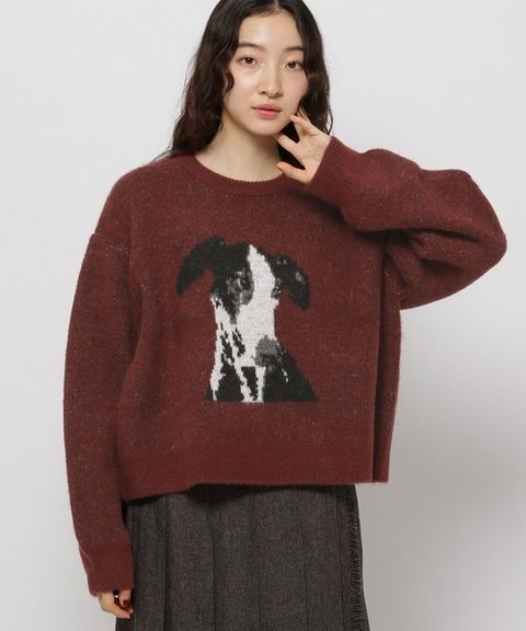 image_F88BBE69-AF33-4434-855D-FC5B2E856352_1767850596