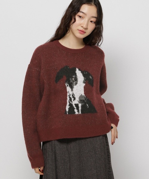 image_CA556BFB-6067-48F7-A314-11A000E177E0_1767850596