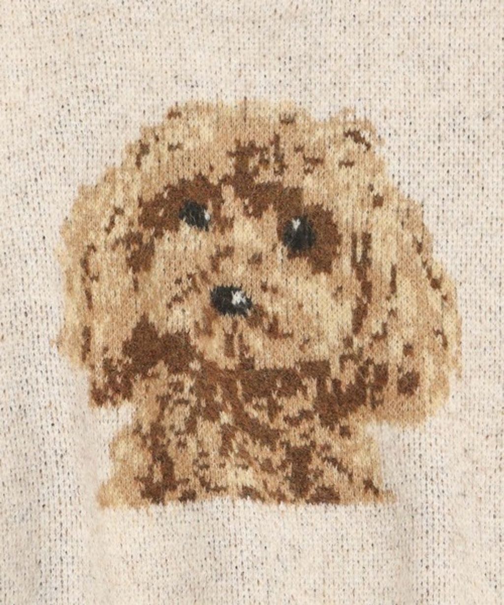 image_13FF38EB-306B-46B6-954A-134CC7BD1677_1767850596