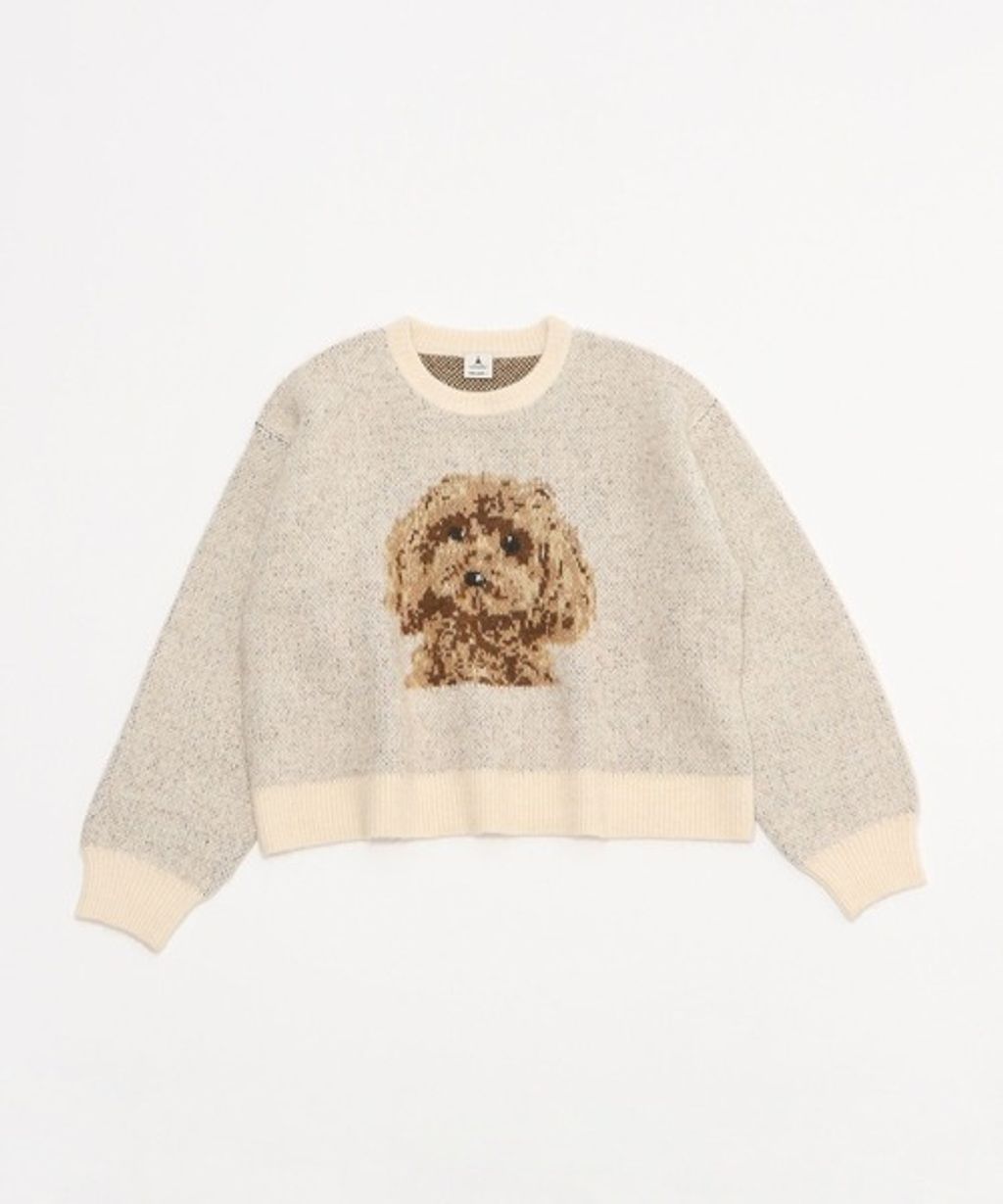 image_8CCD3006-4467-4696-8040-7094B7D8A756_1767850596