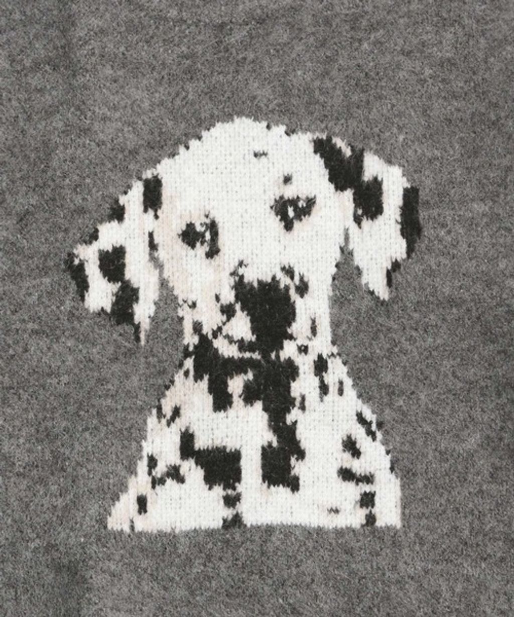 image_91AFB8E3-283D-45D5-9F6F-CAC1E735943F_1767850597