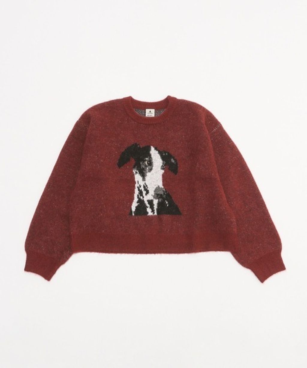 image_B3DF37DD-56FD-4A12-9A4A-72D3F4645DD0_1767850597