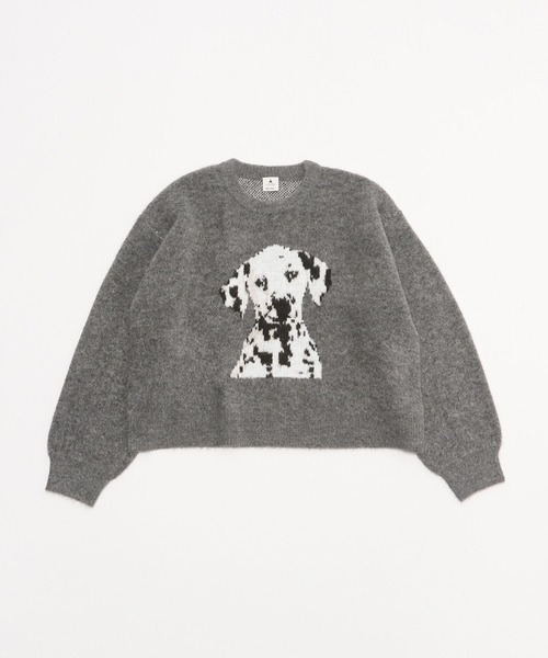 image_51D557F0-DBCE-489B-938A-571A675B5CD6_1767850597