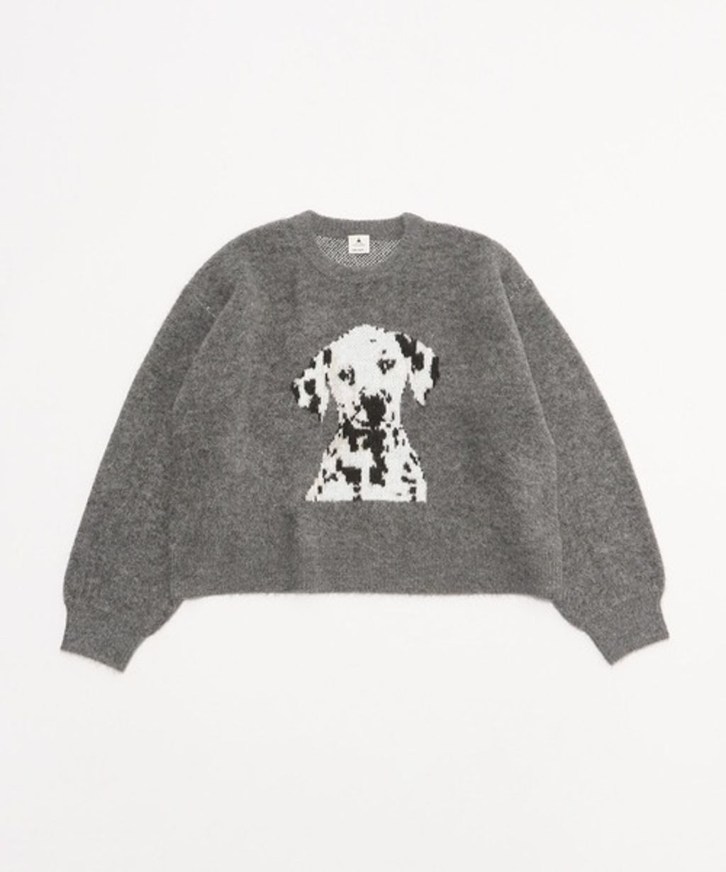 image_51D557F0-DBCE-489B-938A-571A675B5CD6_1767850597