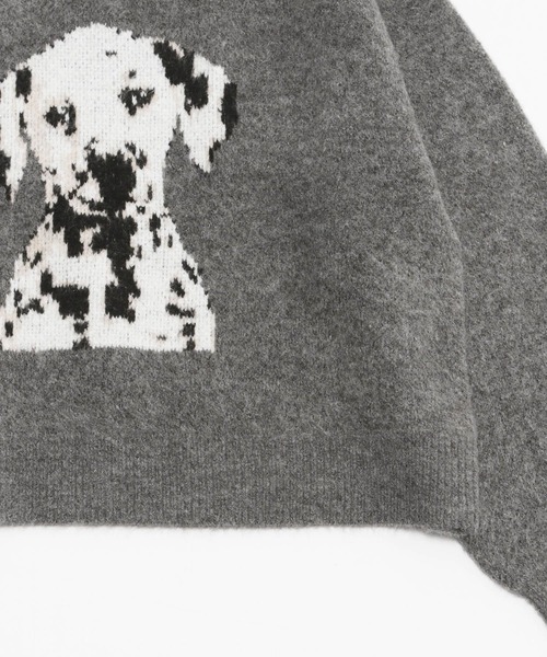 image_0F6BEBB7-75A0-478C-B29C-DBD097B5A4D9_1767850597