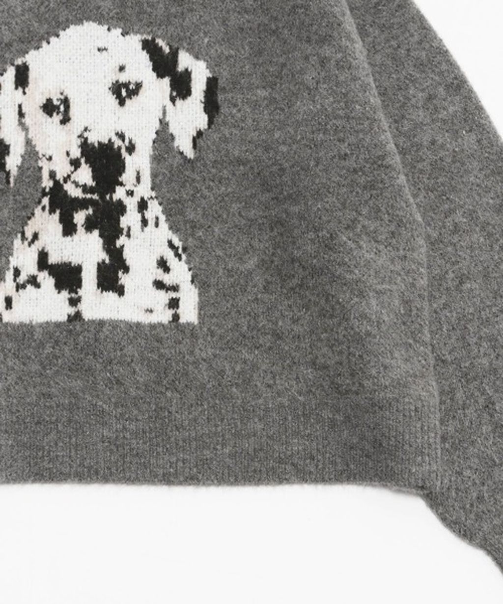 image_0F6BEBB7-75A0-478C-B29C-DBD097B5A4D9_1767850597