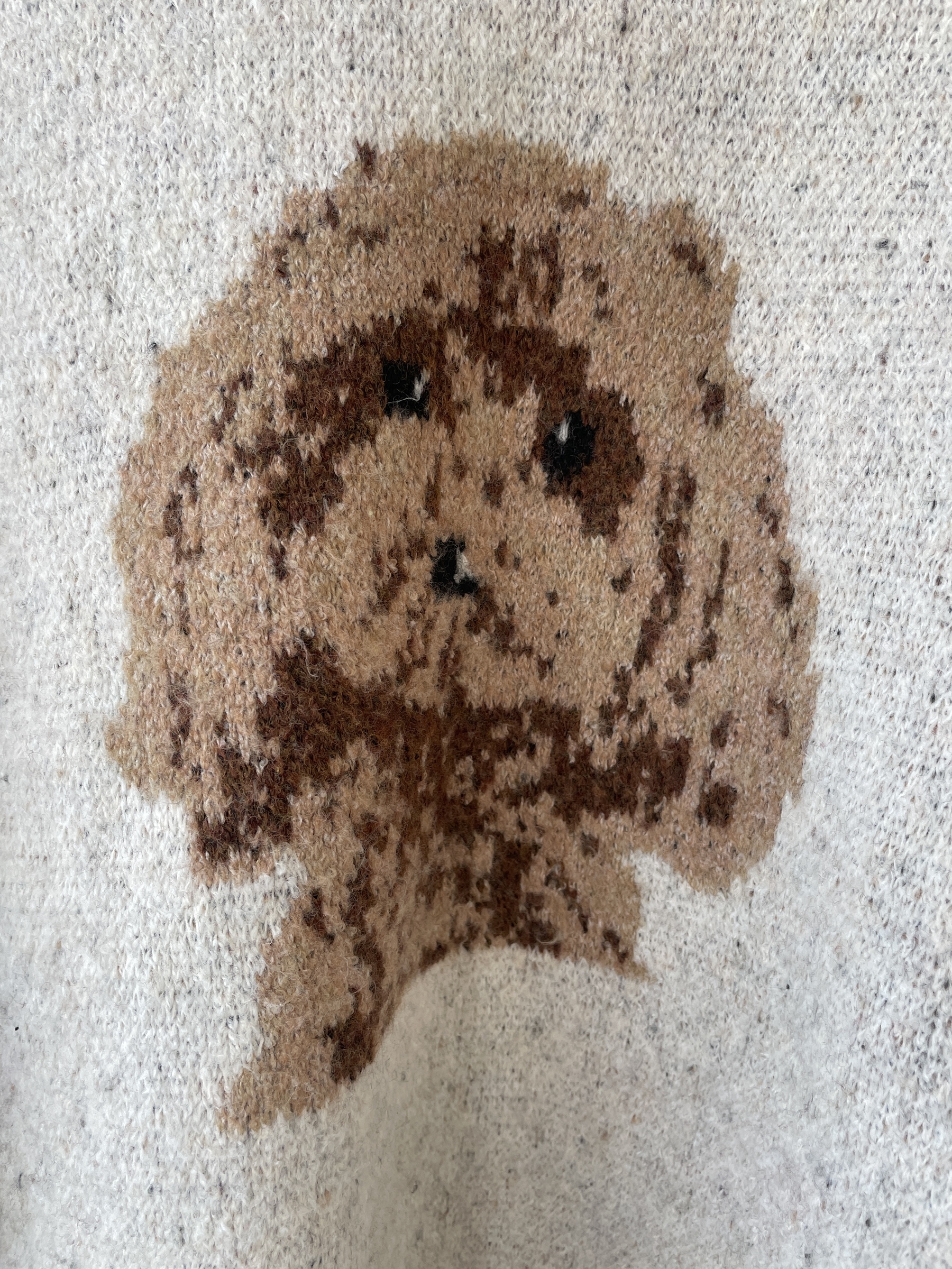 image_EC262135-CF80-4947-9AD2-9B4EBCB29E04_1767937116