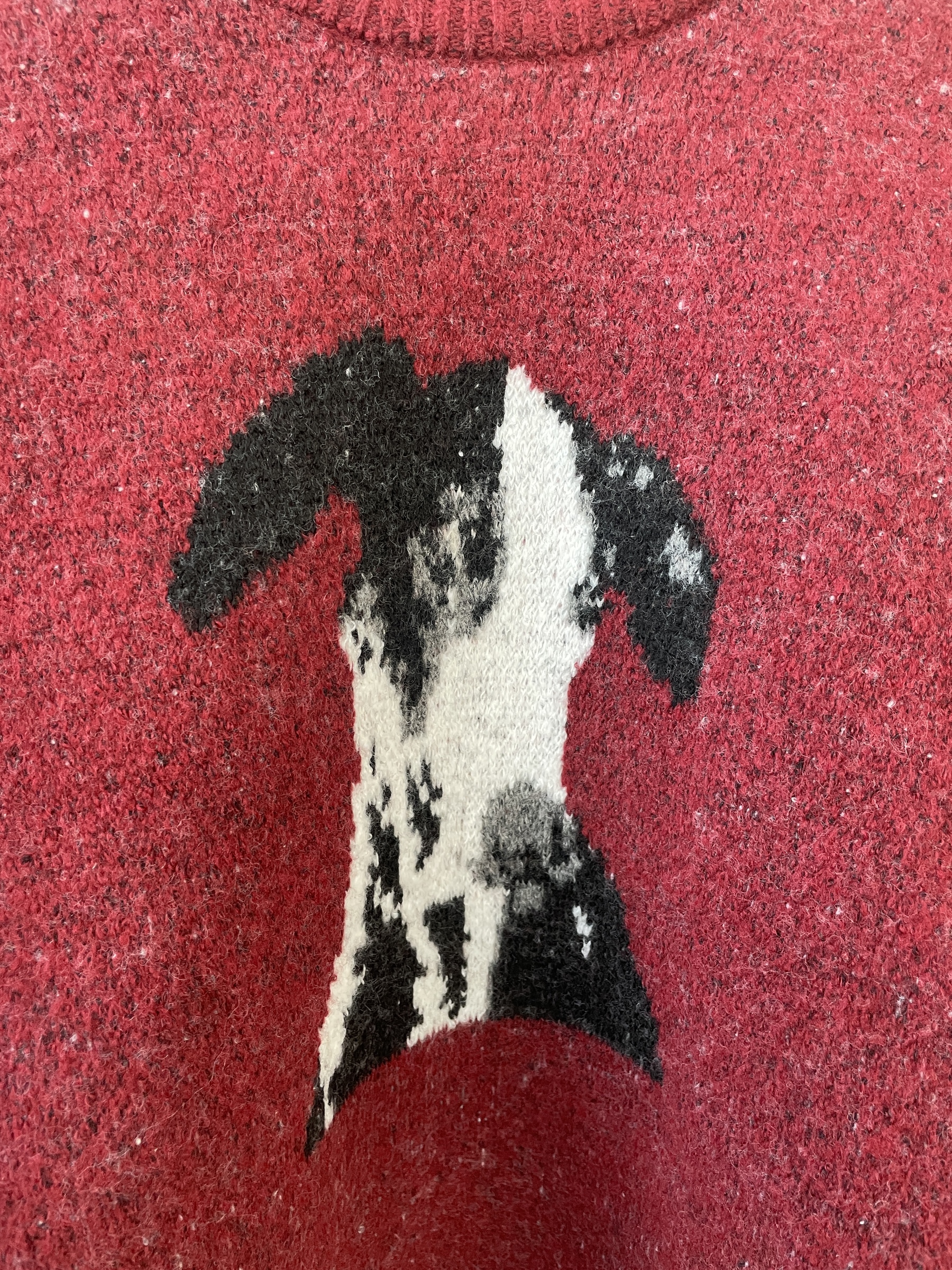 image_409EA518-6538-4C2D-9FBC-04012164B009_1767937116