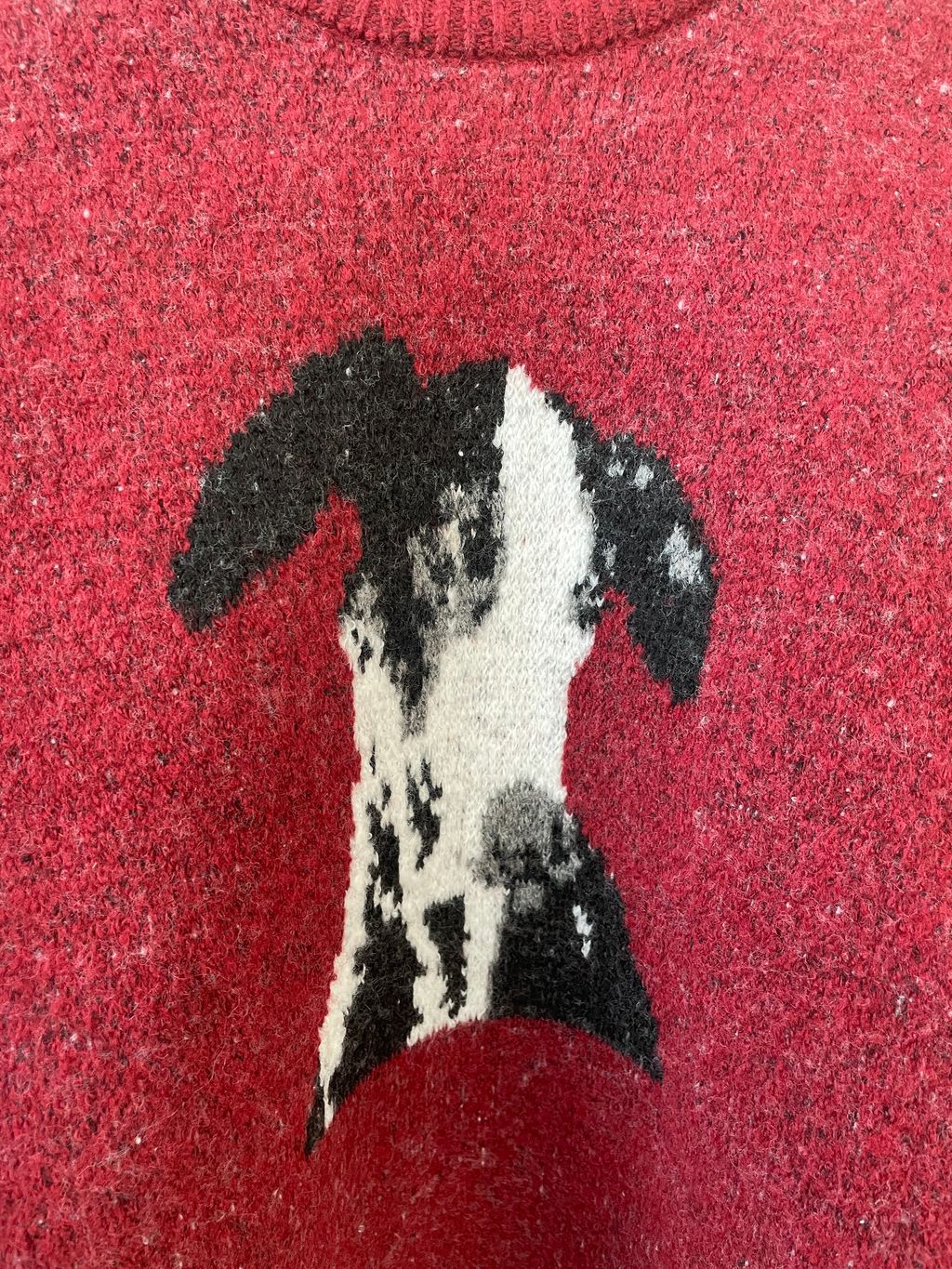 image_409EA518-6538-4C2D-9FBC-04012164B009_1767937116