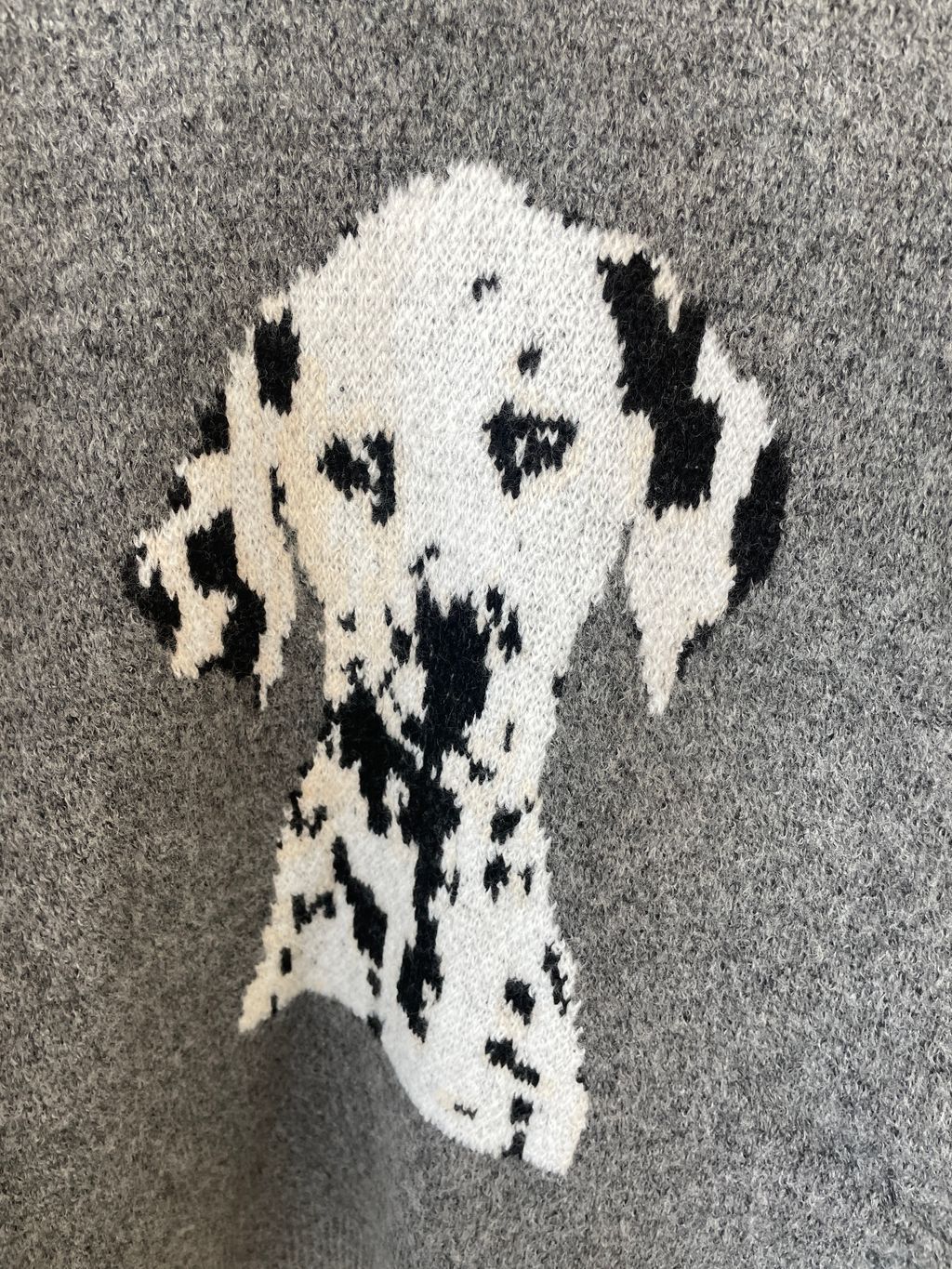 image_F15615CF-E622-44C4-B910-E0FA495E56F7_1767937116