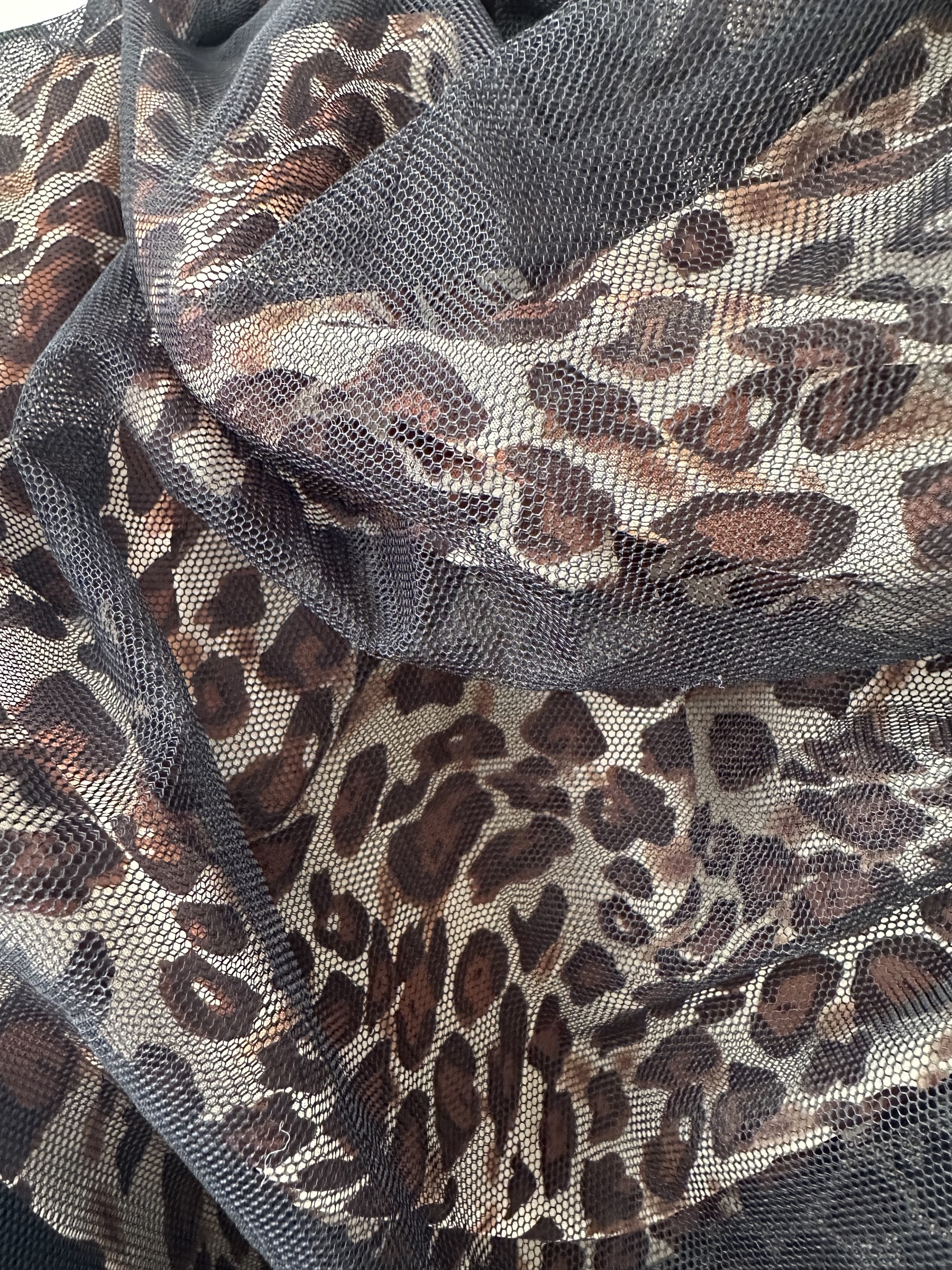 image_80F5DD89-0149-45AA-994B-C17F4E73CD64_1768452955