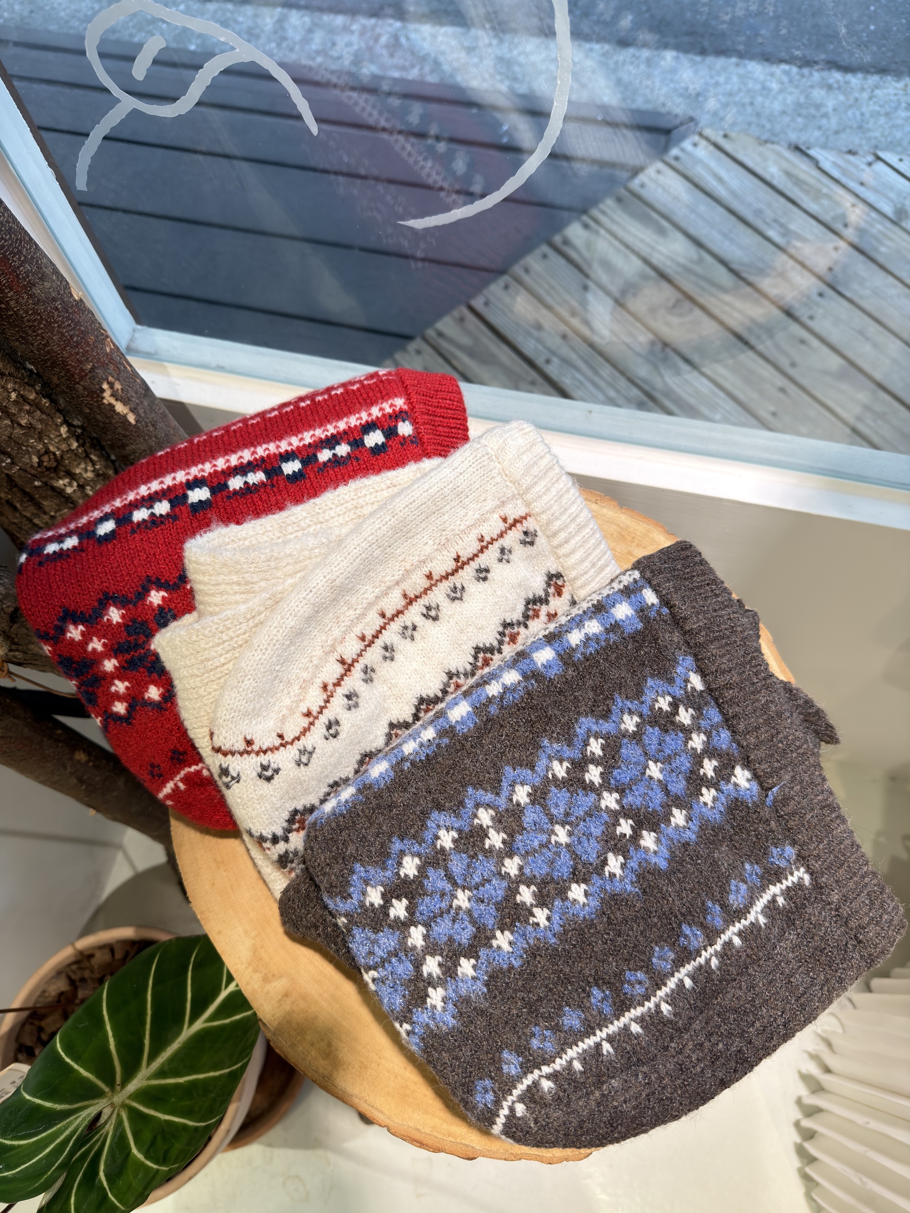 image_3DB25295-E2E1-4726-8869-E36589109E5C_1768466076