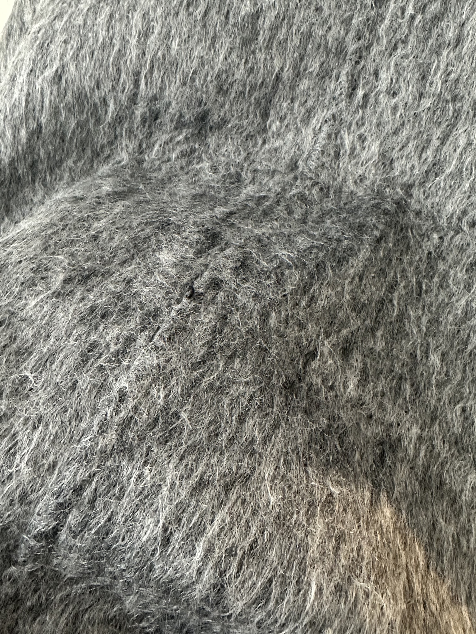 image_BB74133C-9A45-42CF-AA01-2094728C9575_1768973838