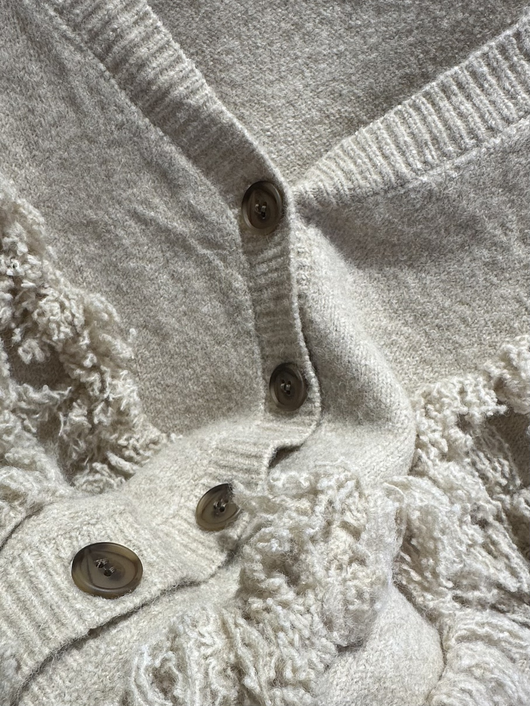 image_C065B66E-FA28-4154-9272-EDA626D5A01C_1769414557