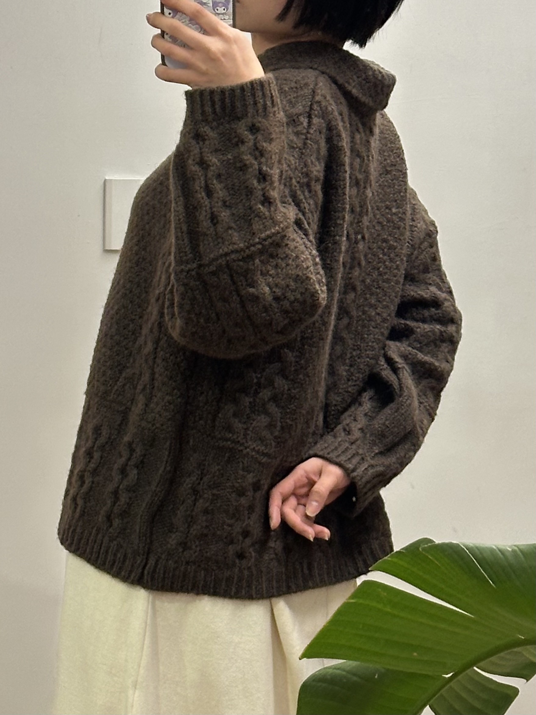 image_D9B3C72D-938E-430A-8F5A-EDDE9F160589_1769601034