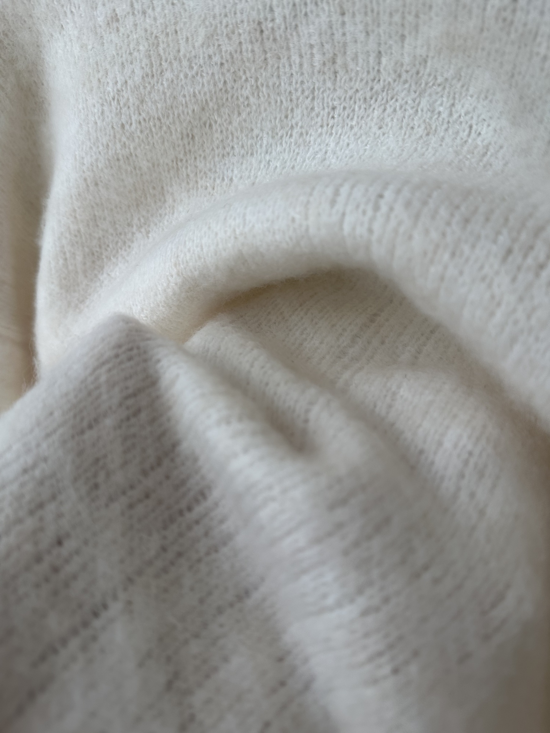 image_118E8B86-0392-4DE1-A446-FF68B2CF4070_1769845460