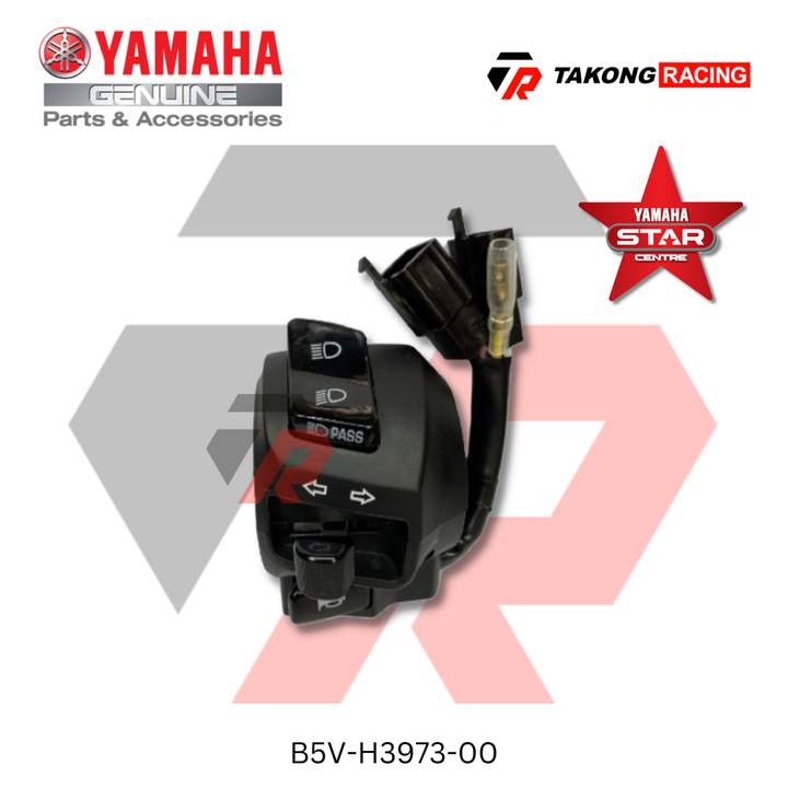 B5V-H3973-00
