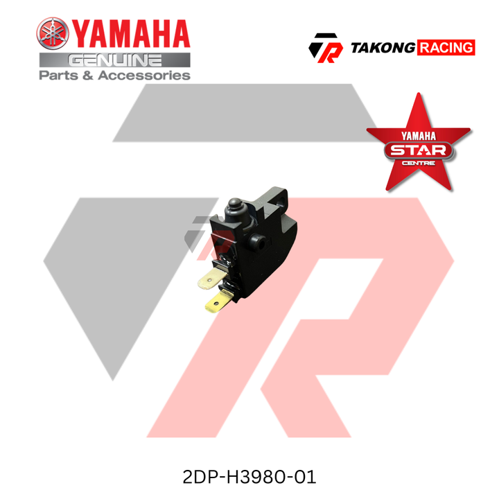 2DP-H3980-01