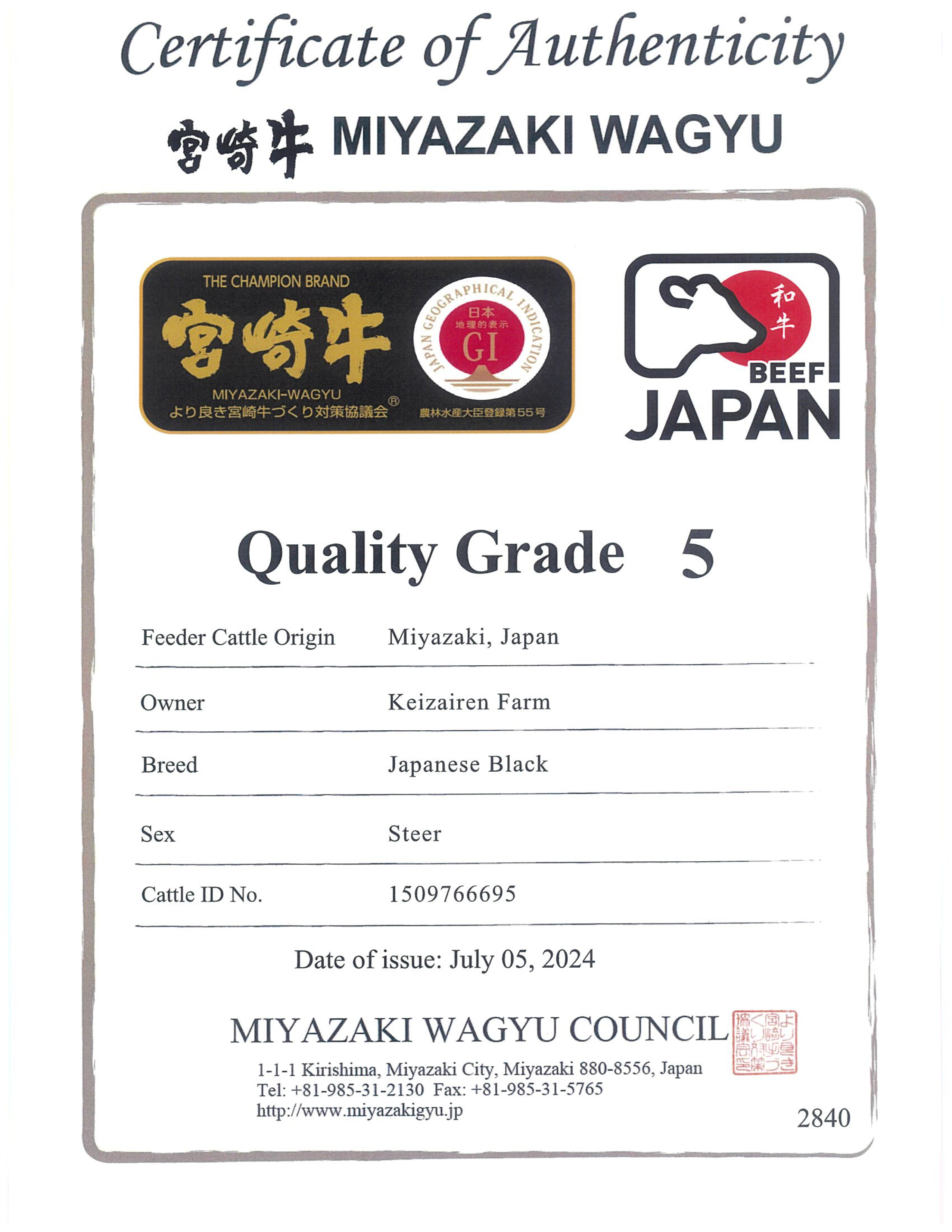 Miyazaki-Cert01