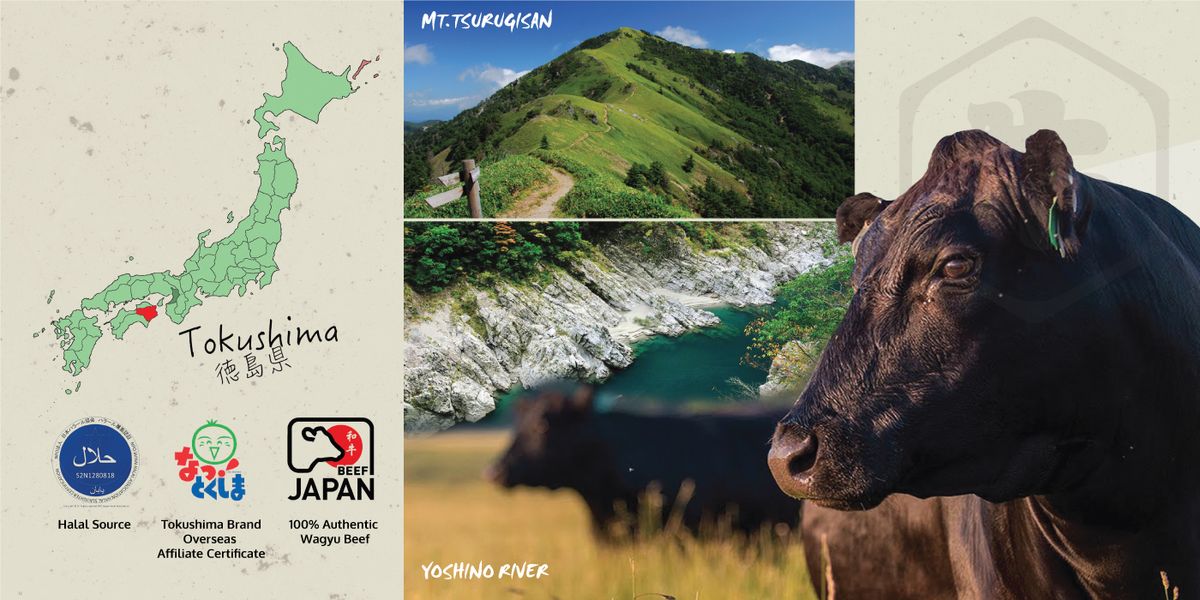 All About The Japan's Pride: "JAPAN TOKUSHIMA  A5 WAGYU Beef"