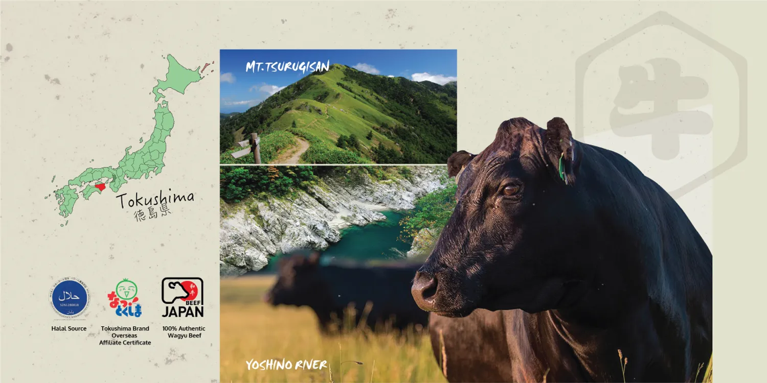 AWAGYU RESTAURANT OFFICIAL | 100% AUTHENTIC WAGYU BEEF