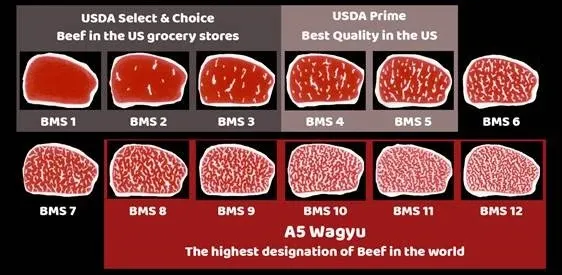 Wagyu Beef Grades