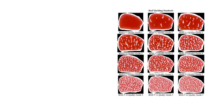 wagyu grading