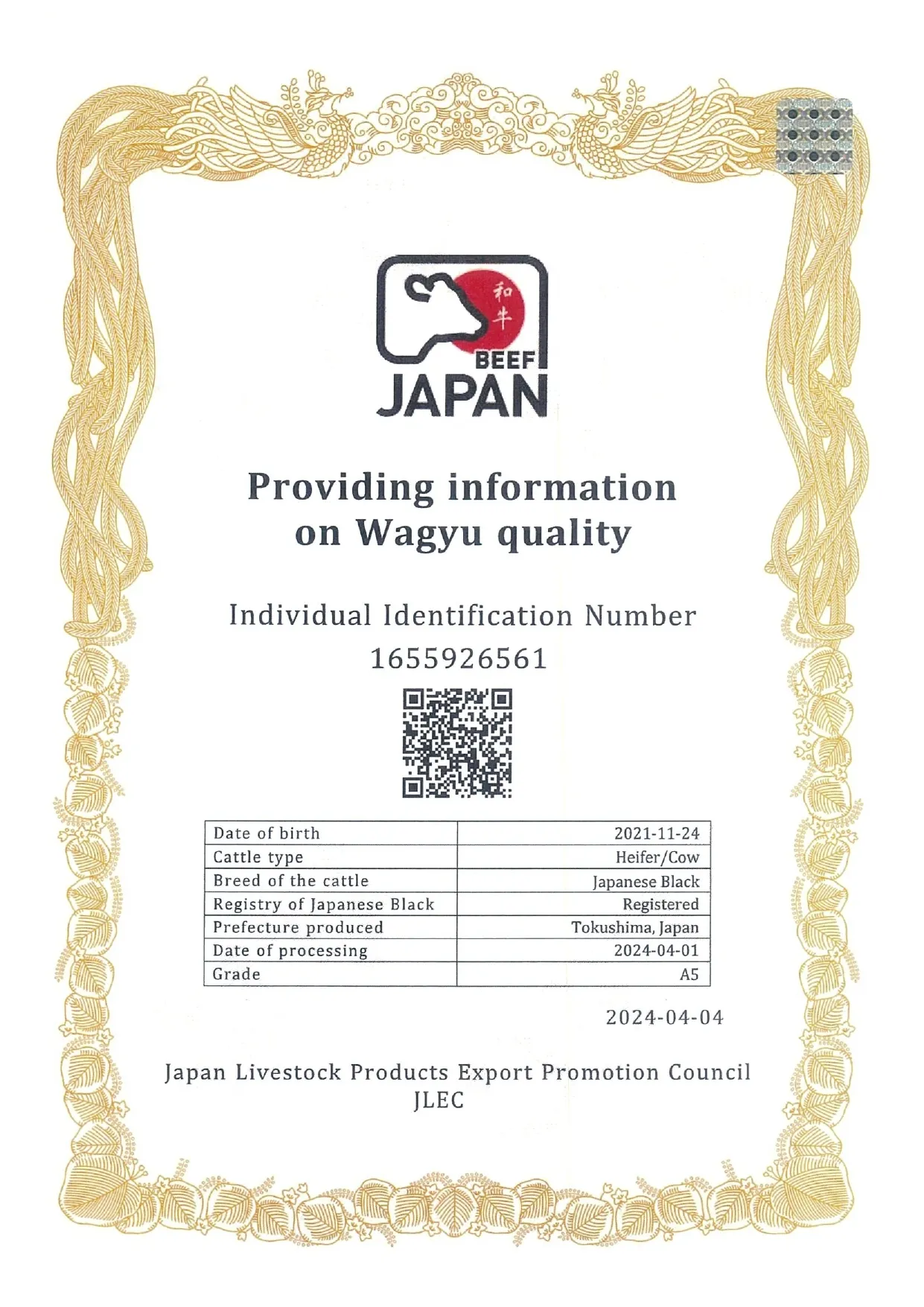 QR CODE 202405