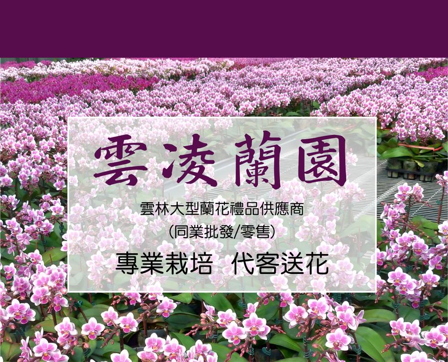 雲凌蘭園　雲林蘭花禮品供應商 / 全臺代客送花 | 