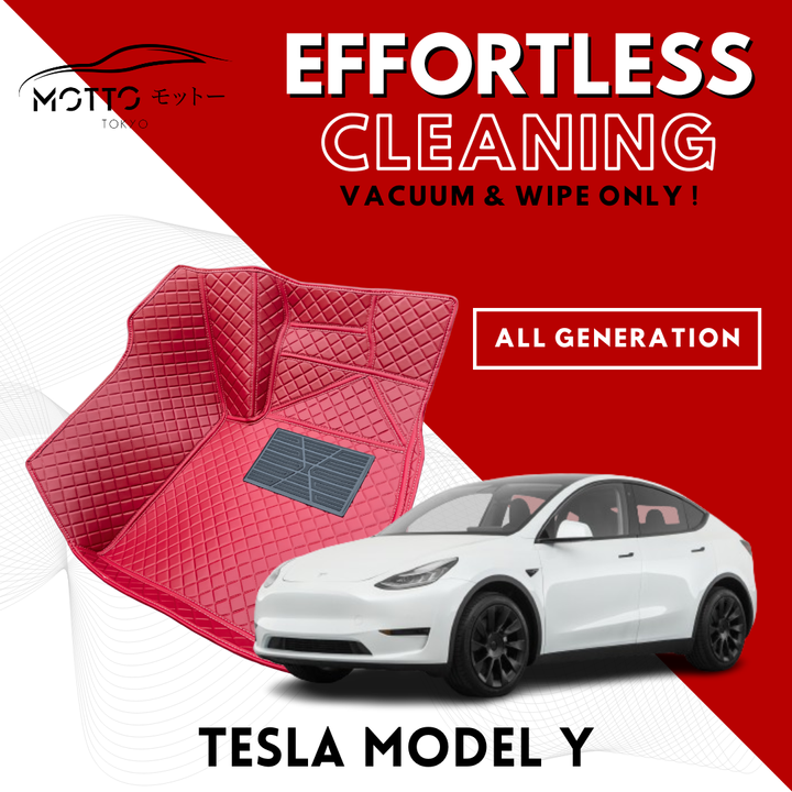 MODEL Y