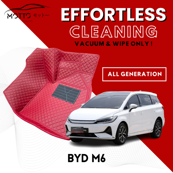 BYD M6