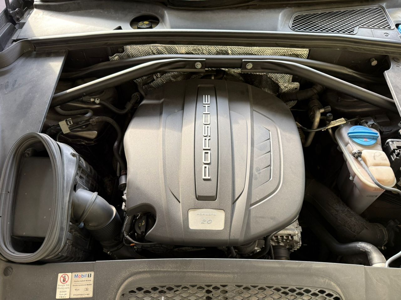 WhatsApp Image 2026-04-16 at 09.19.47