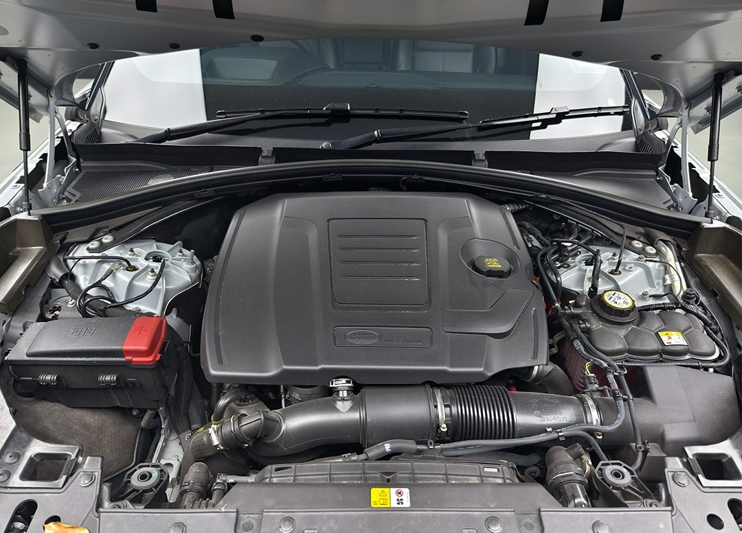 WhatsApp Image 2025-07-10 at 09.34.32 (1)