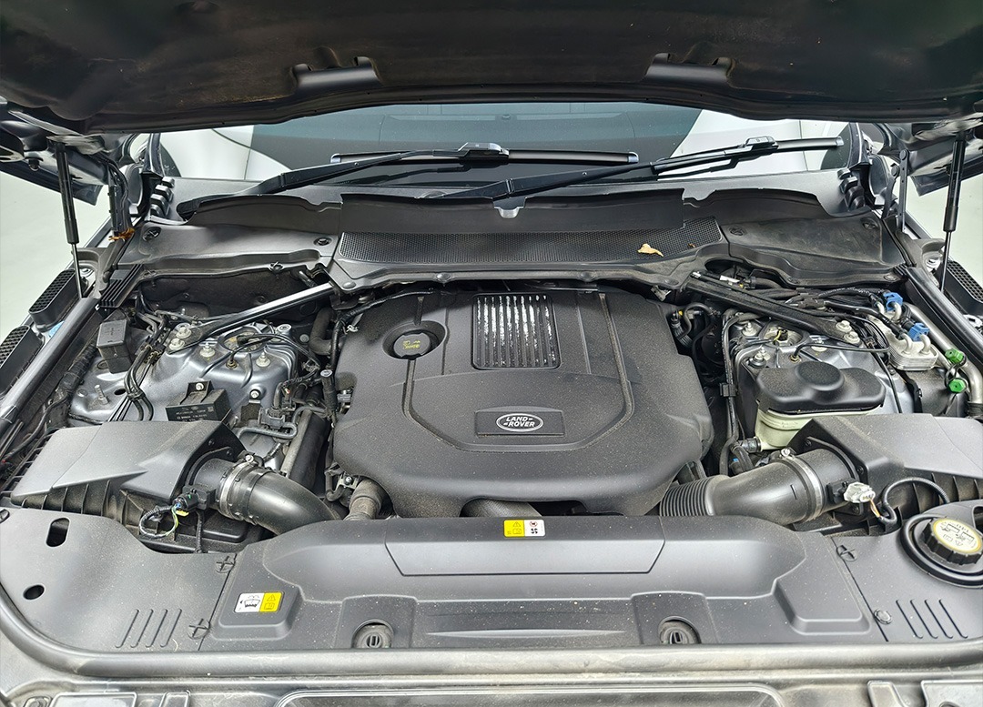 WhatsApp Image 2025-07-15 at 08.23.57 (3)