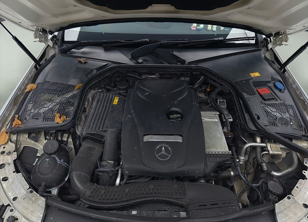 WhatsApp Image 2025-07-24 at 11.22.35 (2)