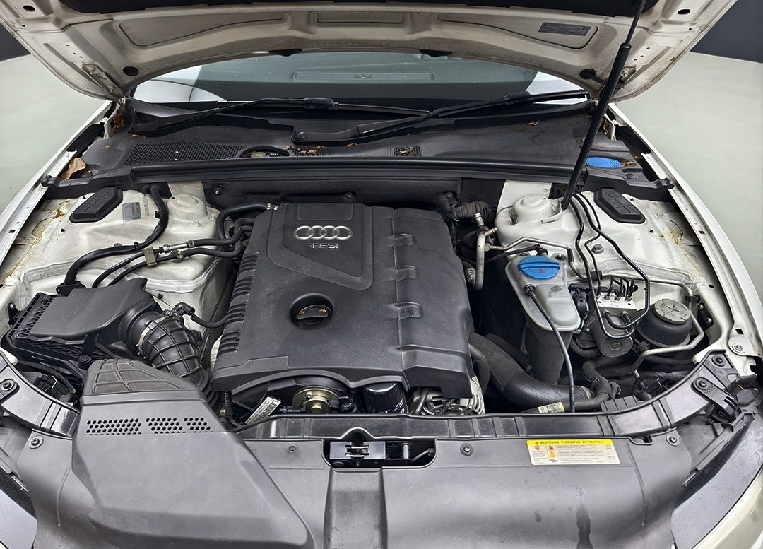 WhatsApp Image 2025-07-29 at 10.35.44