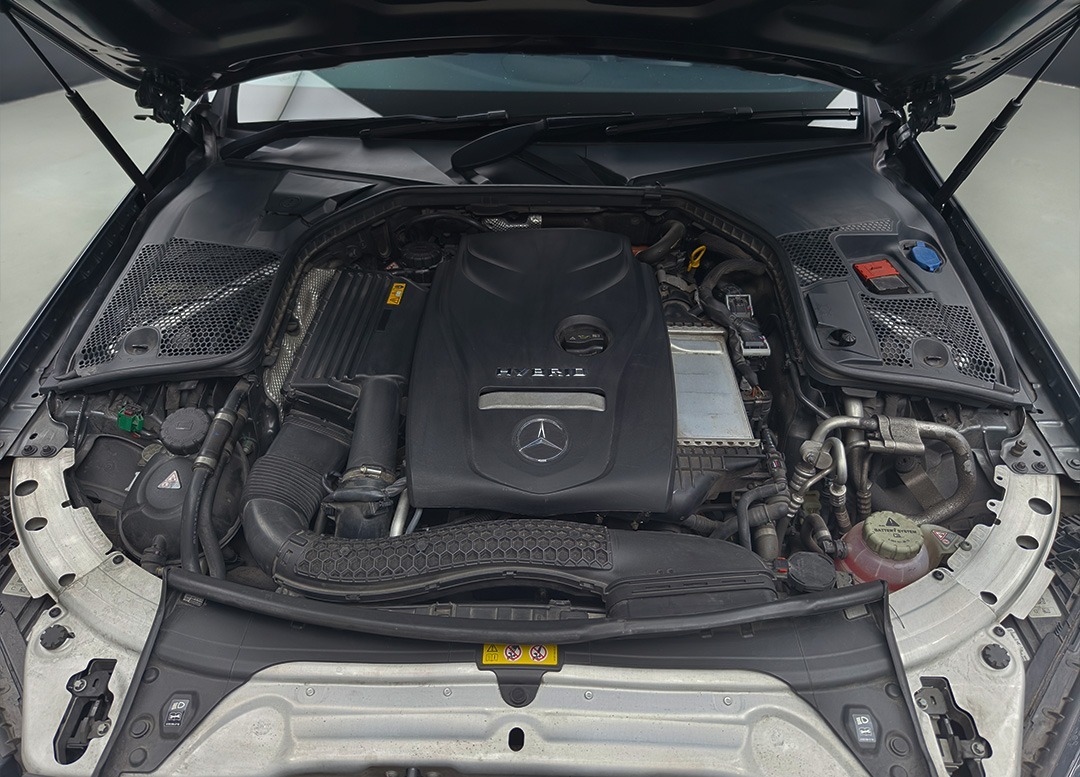 WhatsApp Image 2025-07-29 at 10.36.45