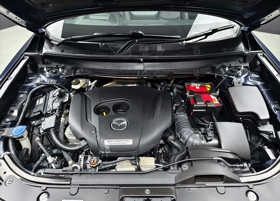 WhatsApp Image 2025-08-01 at 08.22.50 (1)