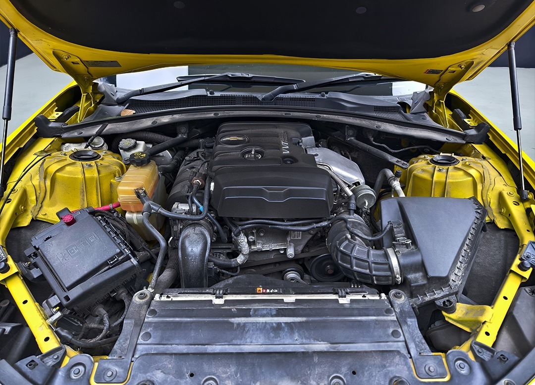 WhatsApp Image 2025-08-02 at 09.41.30