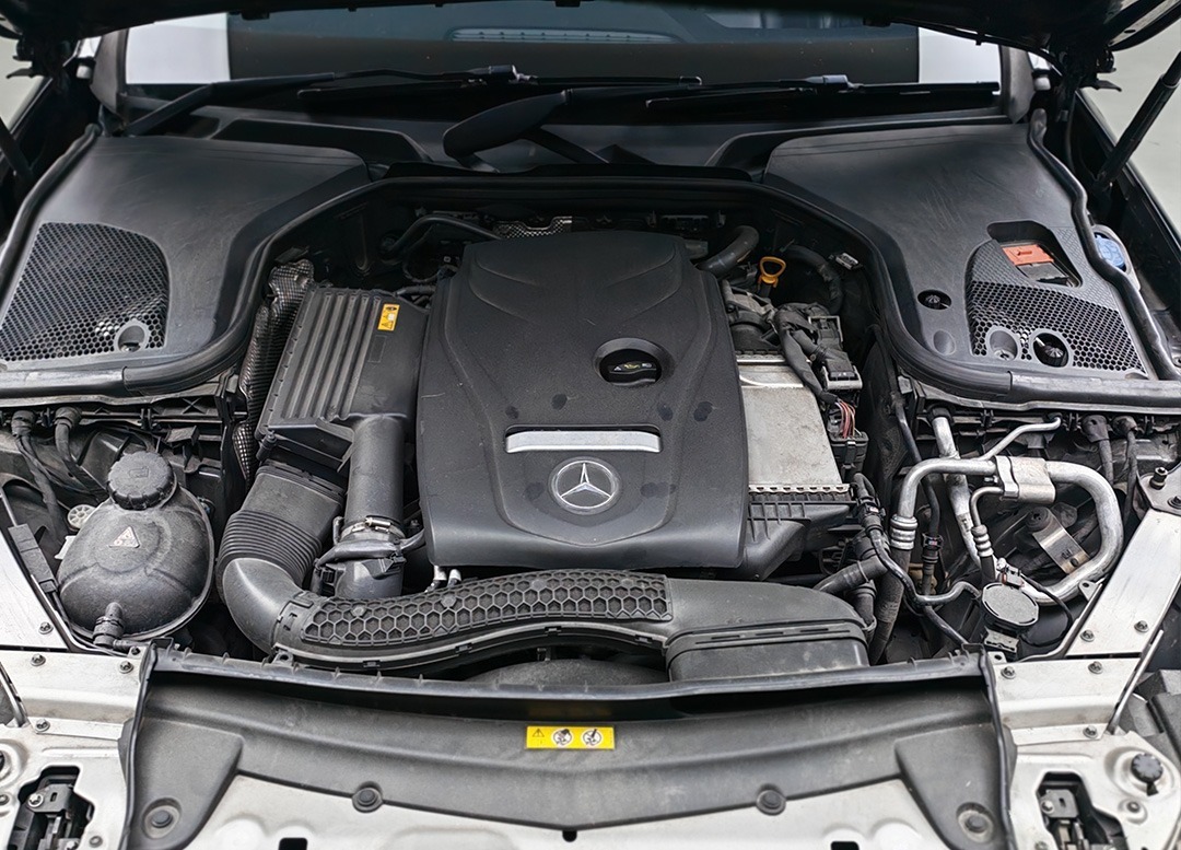 WhatsApp Image 2025-08-11 at 13.46.04 (1)