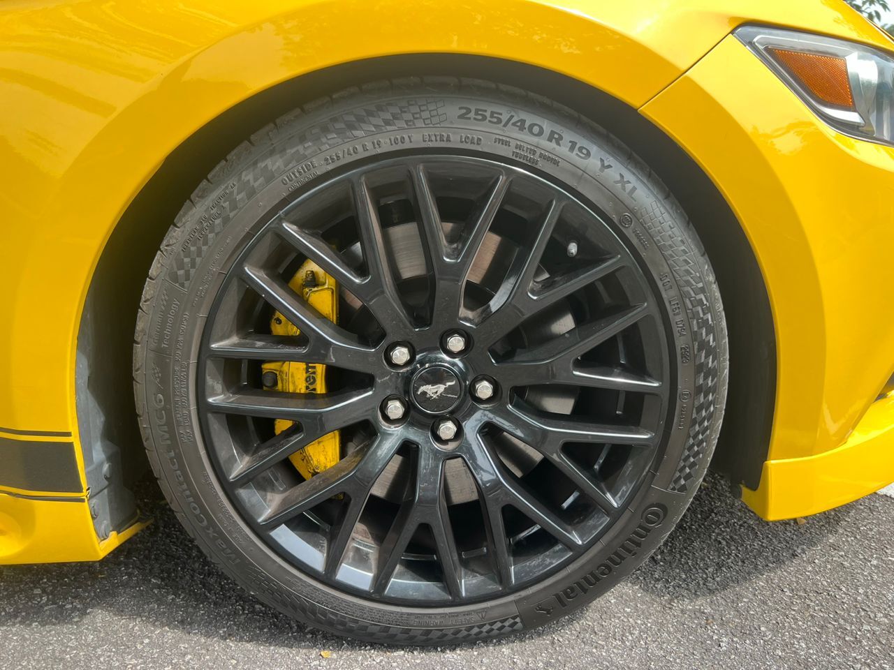 WhatsApp Image 2025-08-15 at 12.09.52 (1)