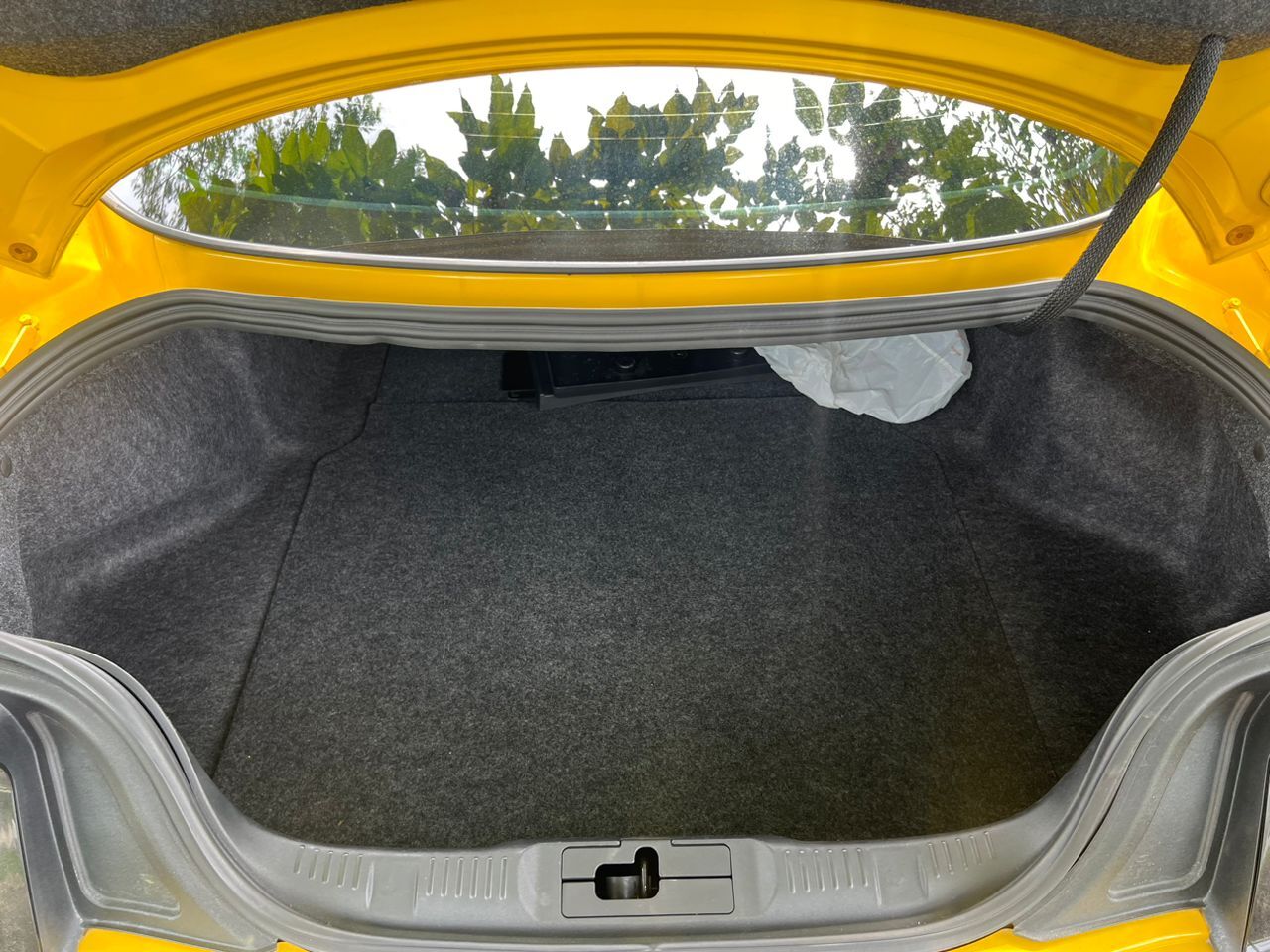 WhatsApp Image 2025-08-15 at 12.09.52 (3)