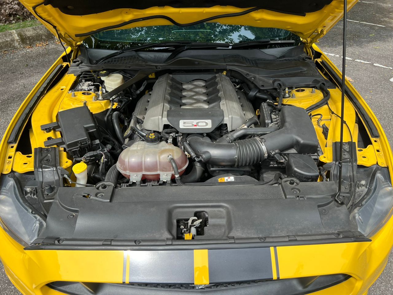 WhatsApp Image 2025-08-15 at 12.09.53 (1)