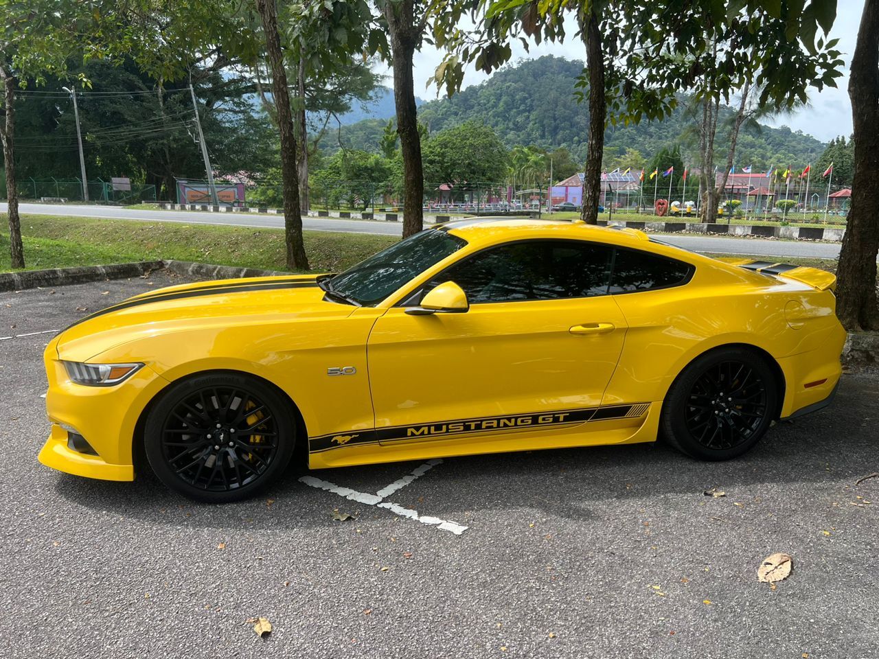 WhatsApp Image 2025-08-15 at 12.09.50