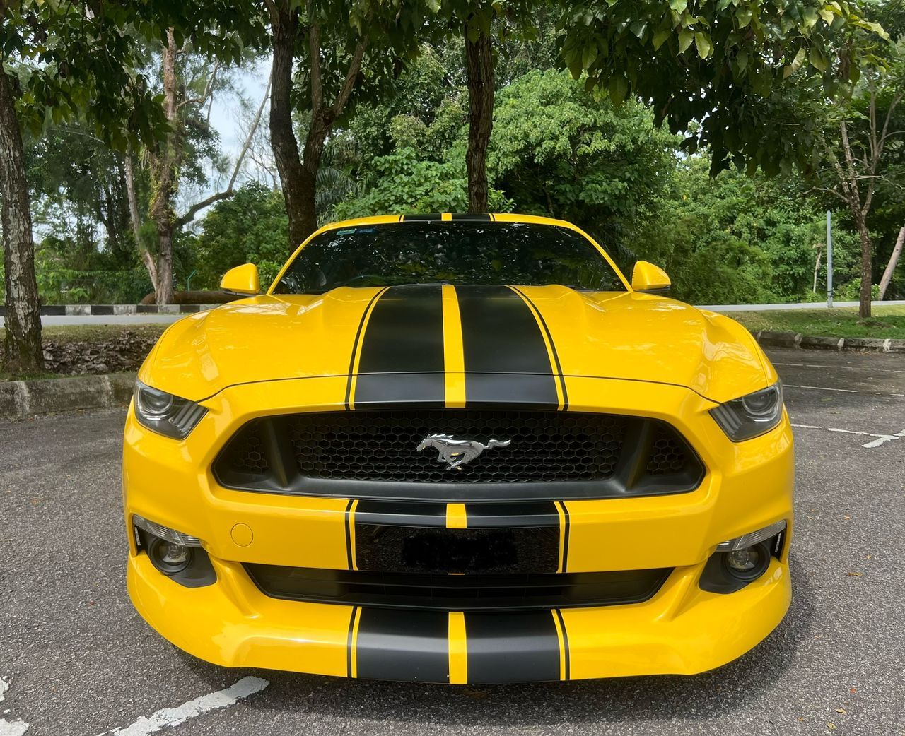 WhatsApp Image 2025-08-15 at 12.09.52