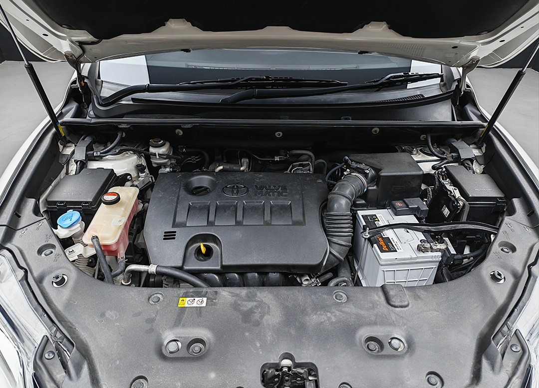 WhatsApp Image 2025-08-18 at 10.00.18