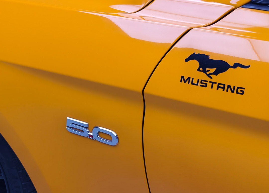 WhatsApp Image 2025-08-20 at 09.13.59 (1)